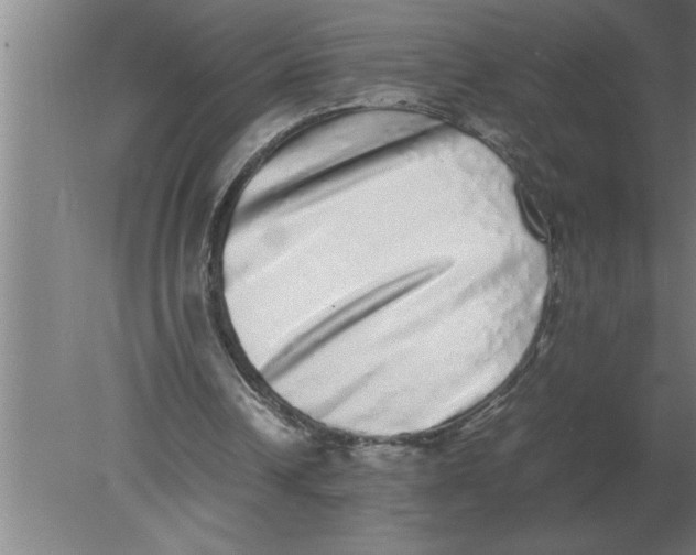 X0000080110242200612301951