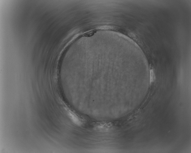 X0000080110243200612301951