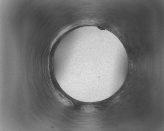 X0000080110244200612301951