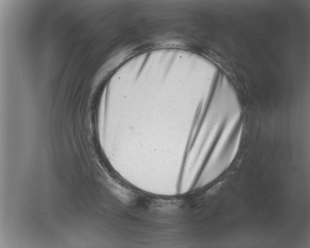 X0000080110245200612301951