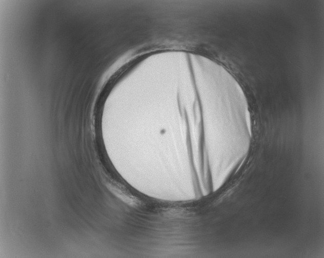 X0000080110246200612301951