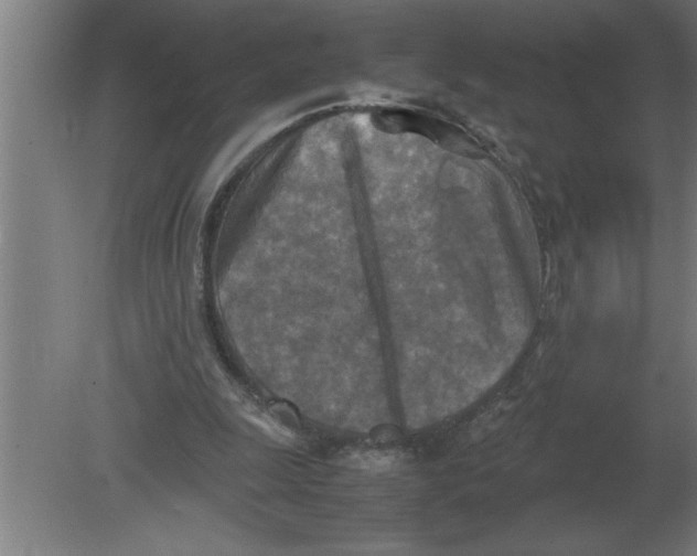 X0000080110247200612301951