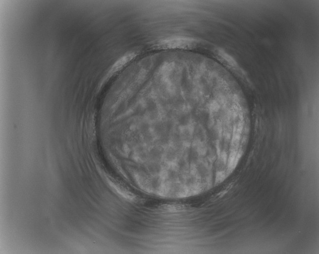 X0000080110250200612301951