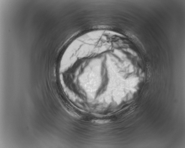 X0000080110251200612301951