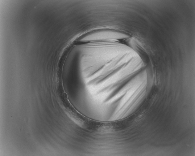 X0000080110252200612301951