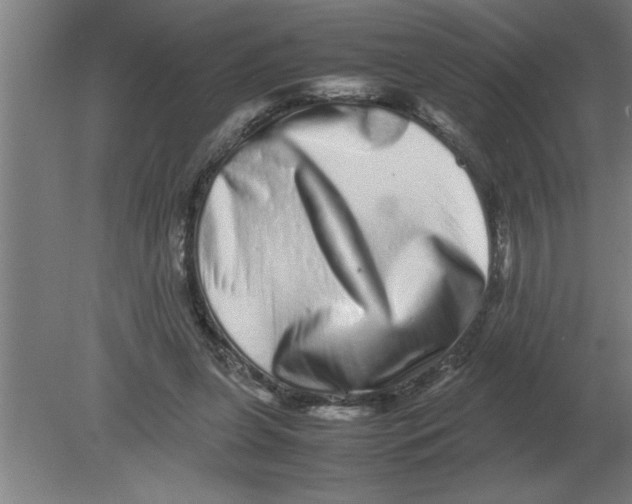 X0000080110255200612301951