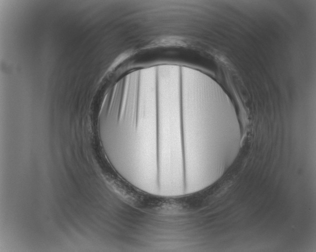 X0000080110256200612301951