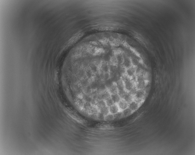 X0000080110258200612301951