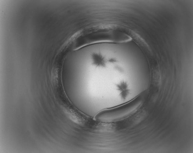 X0000080110260200612301951