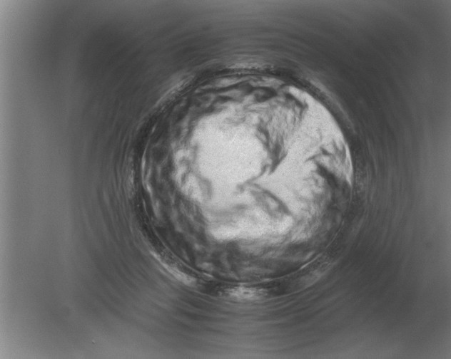 X0000080110261200612301951