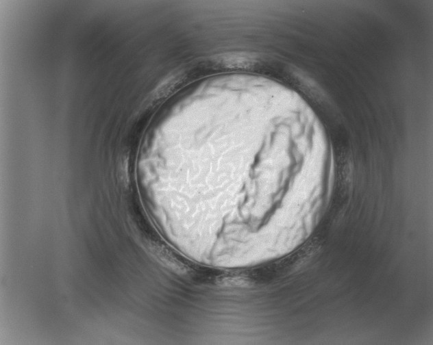 X0000080110262200612301951