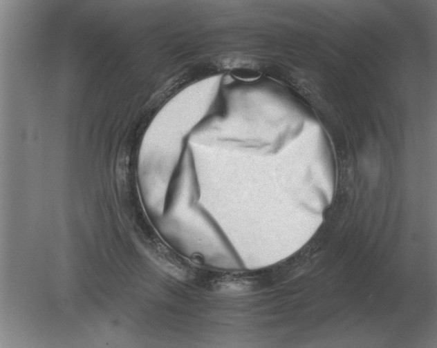 X0000080110263200612301951