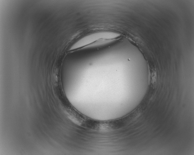 X0000080110264200612301951