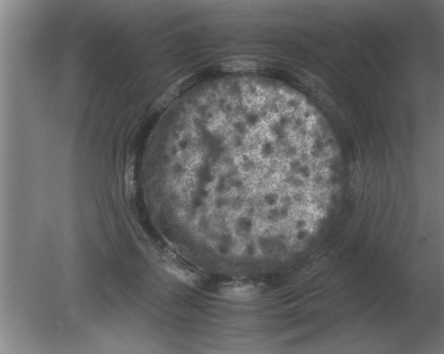 X0000080110267200612301951