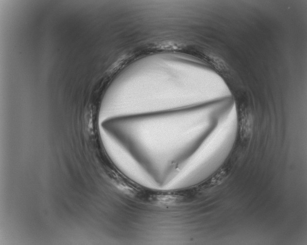 X0000080110268200612301951