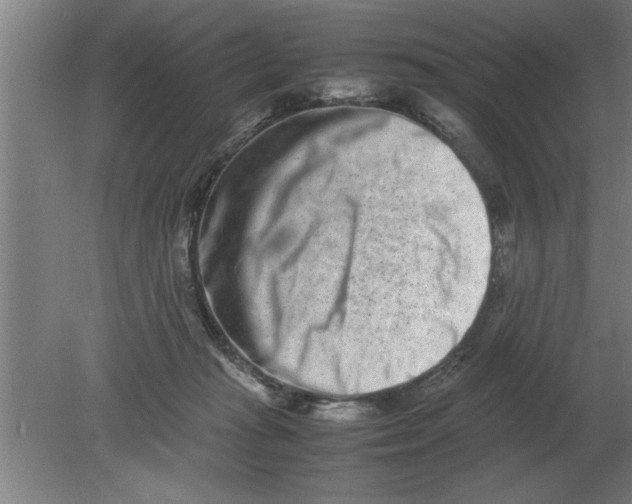 X0000080110269200612301951