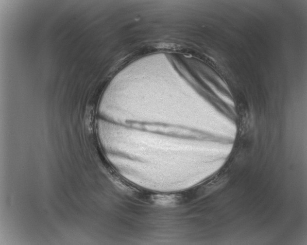 X0000080110273200612301951