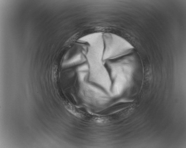 X0000080110275200612301951