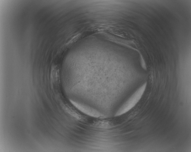 X0000080110276200612301951