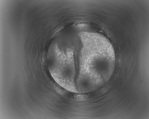 X0000080110277200612301951