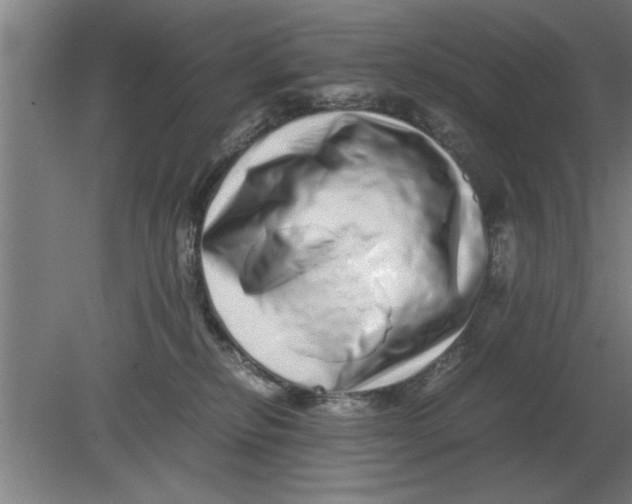 X0000080110278200612301951