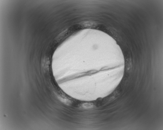 X0000080110279200612301951