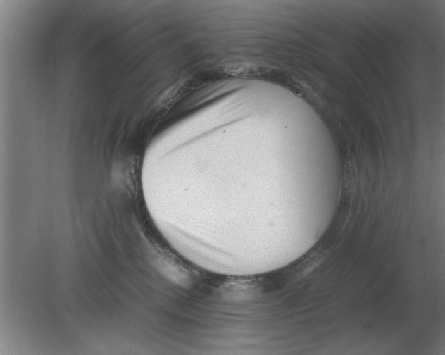 X0000080110280200612301951