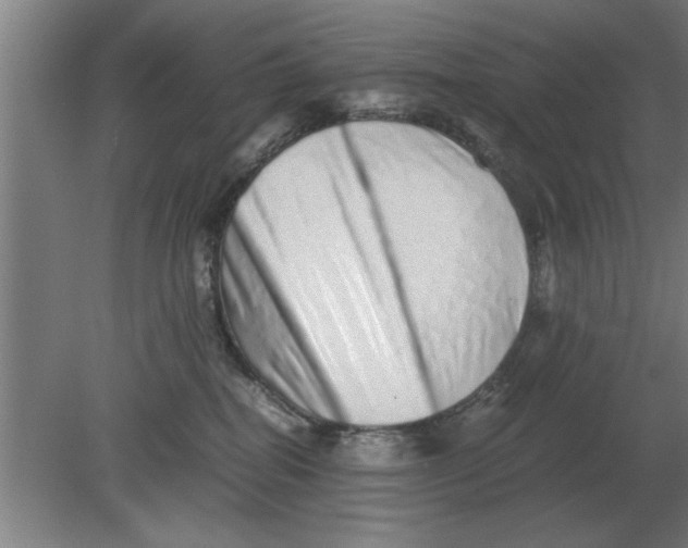 X0000080110282200612301951