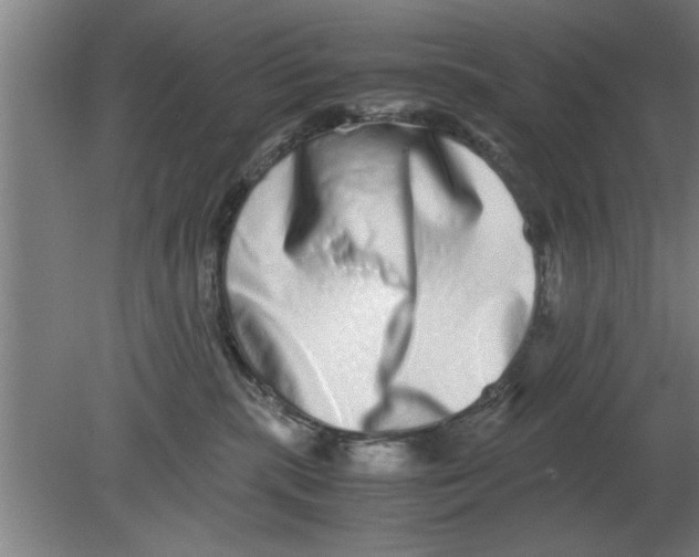 X0000080110283200612301951