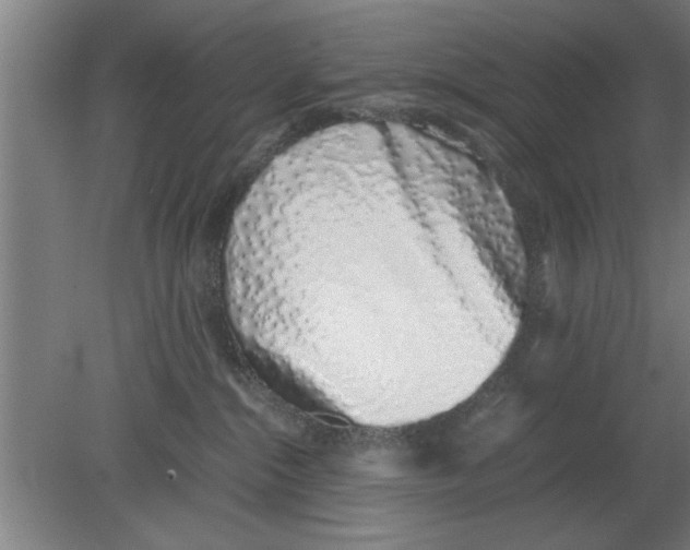 X0000080110284200612301951