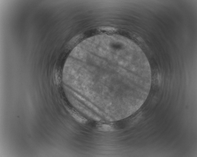 X0000080110285200612301952