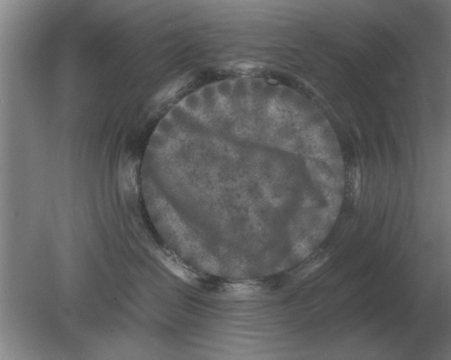 X0000080110286200612301952