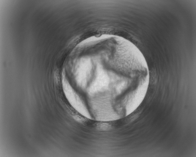 X0000080110287200612301952