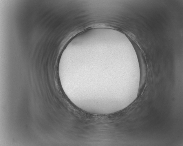 X0000080110289200612301951