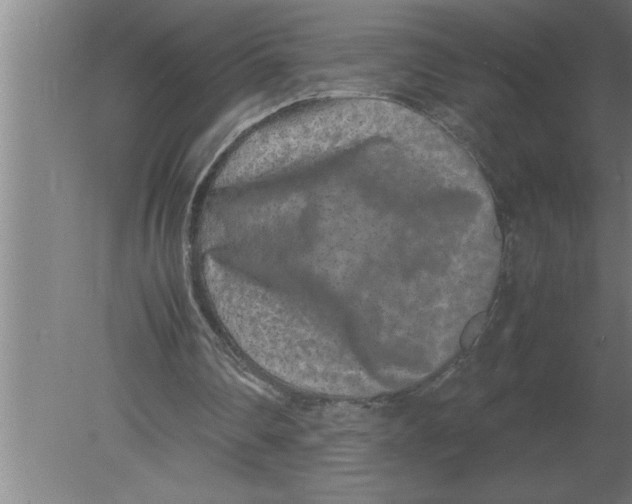 X0000080110290200612301951