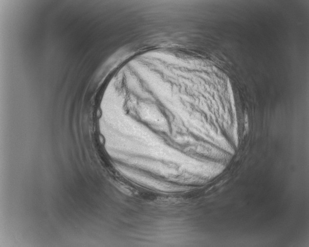 X0000080110291200612301951