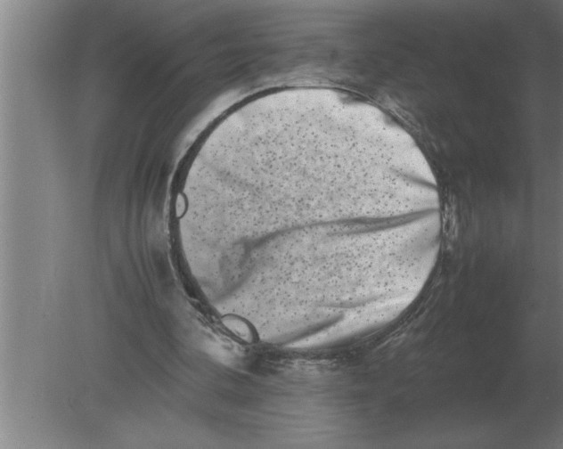 X0000080110292200612301951