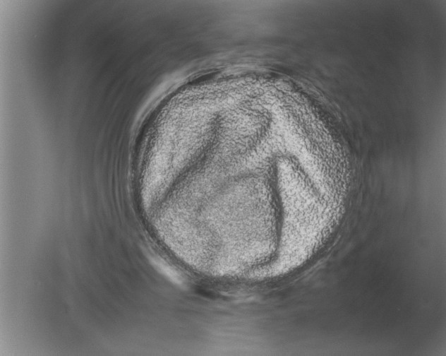 X0000080110293200612301951