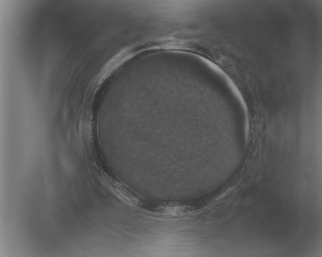 X0000080110295200612301951