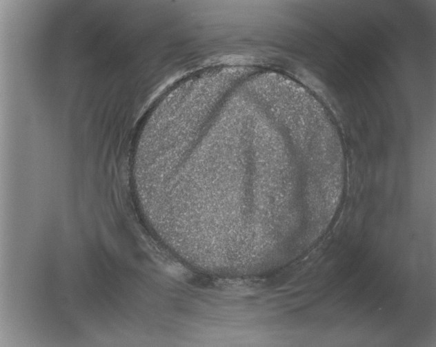 X0000080110297200612301951