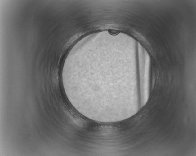 X0000080110298200612301951