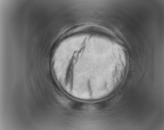 X0000080110299200612301951