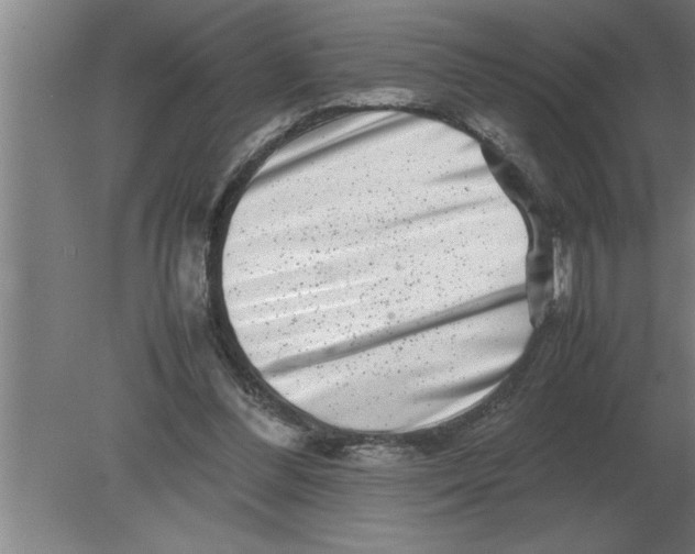 X0000080110300200612301951