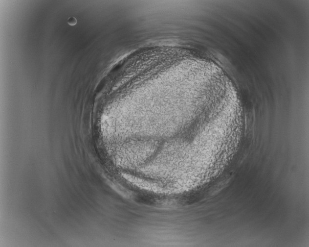 X0000080110301200612301951