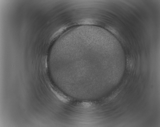 X0000080110302200612301951