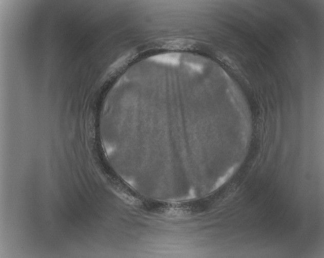 X0000080110303200612301951