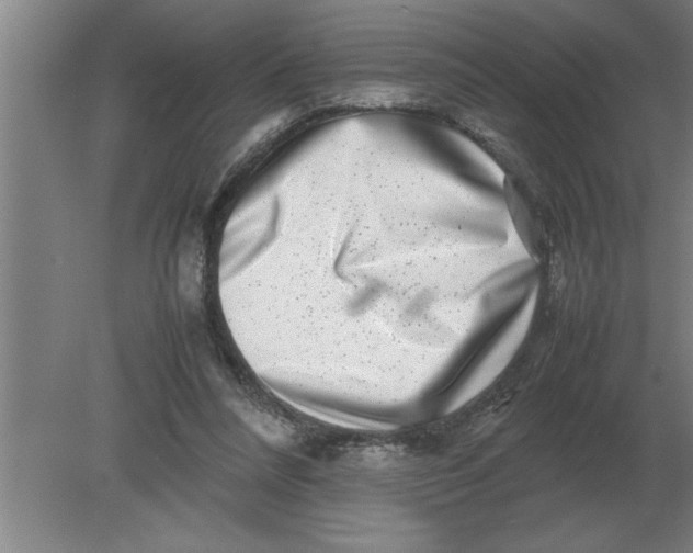 X0000080110304200612301950