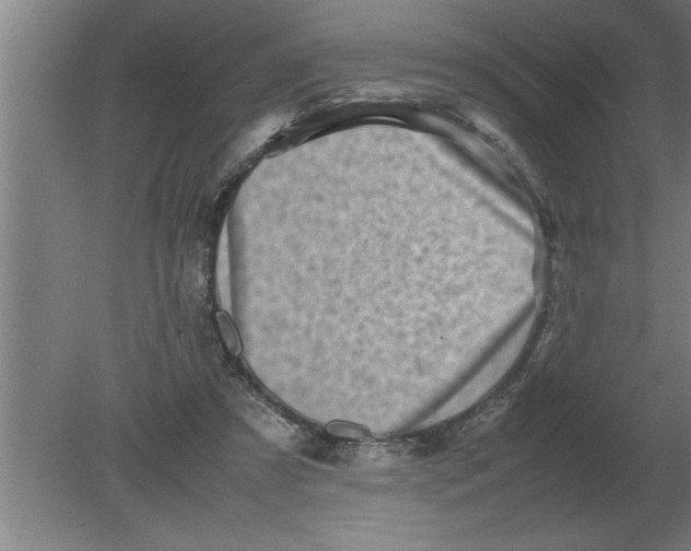 X0000080110305200612301950