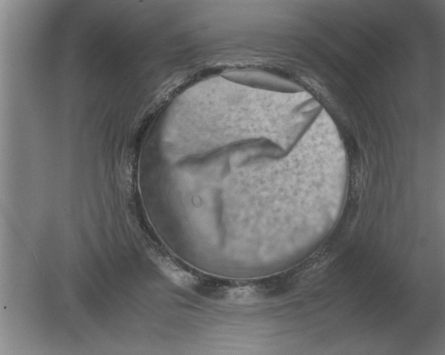 X0000080110309200612301950