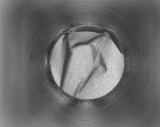 X0000080110310200612301950